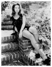 Le gambe di Elizabeth Montgomery