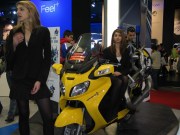 Motor show di Bologna