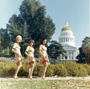 Stewardess, autoreggenti, campidoglio