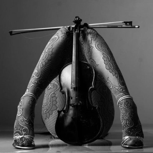 Concerto per archi e collant