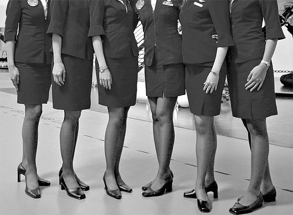 Stewardesses in collant