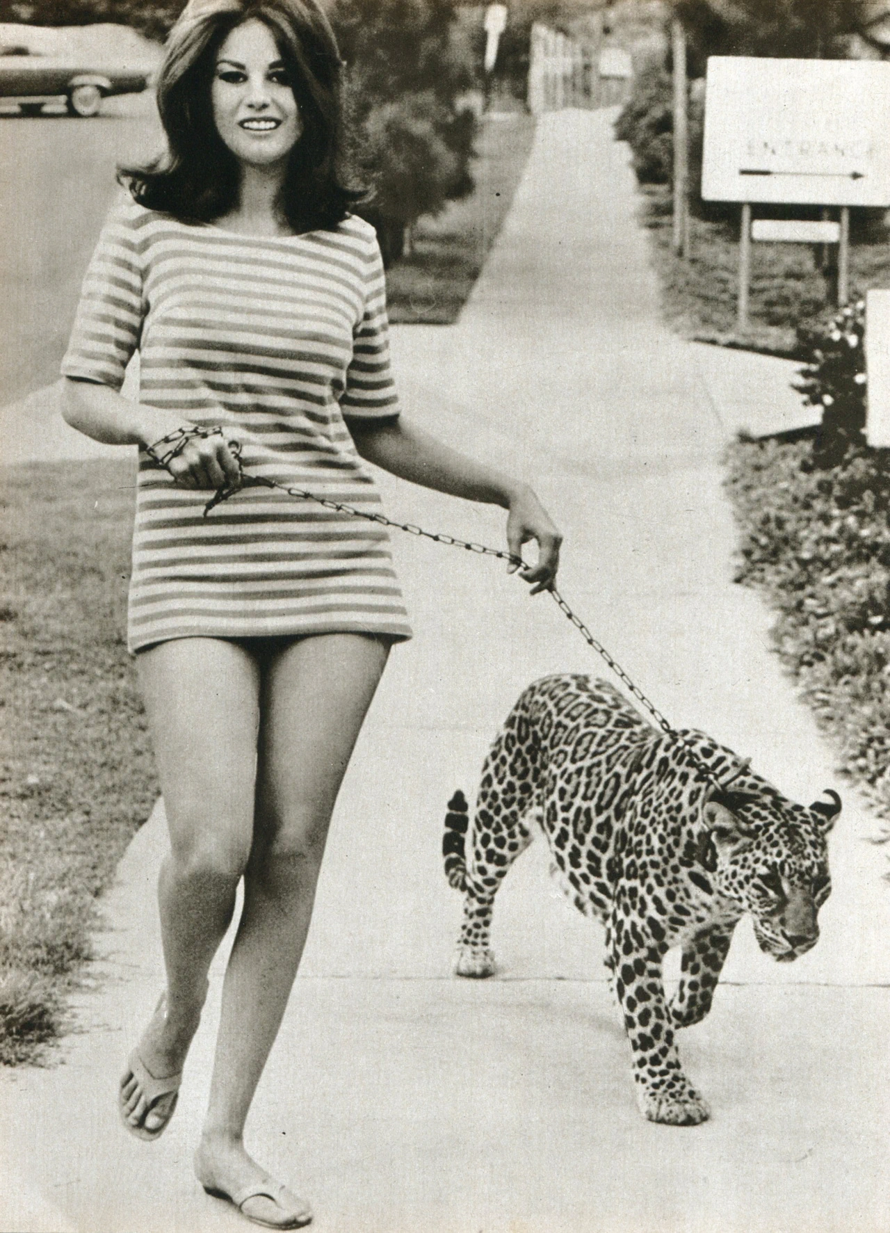 Lana Wood